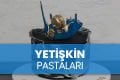 Yetişkin Pastaları