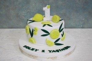 1 Yaş Pasta