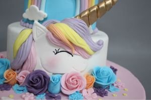 Unicorn Fun