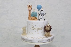 Buğra'nın Pastası