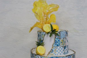Tasarım Pasta