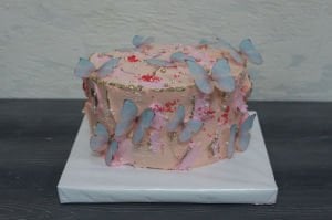 Mor Kelebek Rüyası