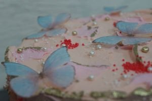 Mor Kelebek Rüyası