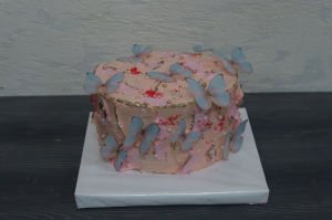 Mor Kelebek Rüyası