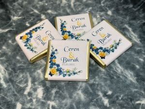 MAVİ DÜŞLER SARGI