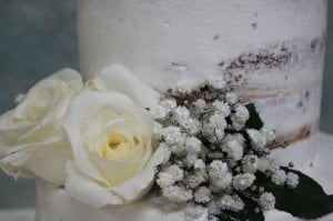 Beyaz Güllerin Asilliği