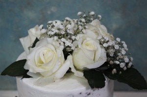 Beyaz Güllerin Asilliği