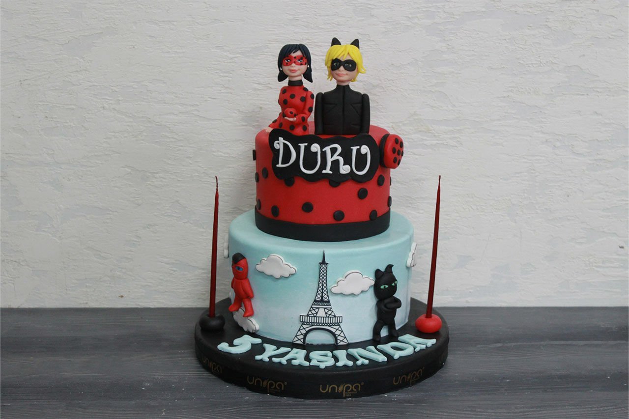 Mucize Uğurböceği ve Kara Kedi