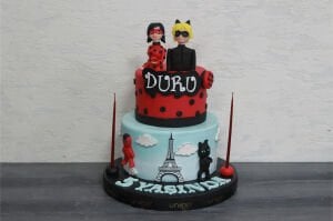 Mucize Uğurböceği ve Kara Kedi