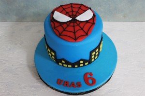 Spider Mask