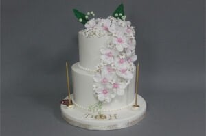 Baharın Güzelliği