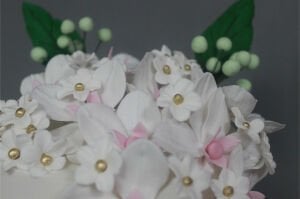 Baharın Güzelliği