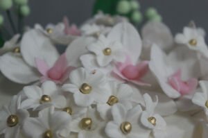 Baharın Güzelliği