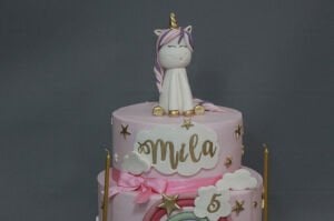 Benim Unicorn