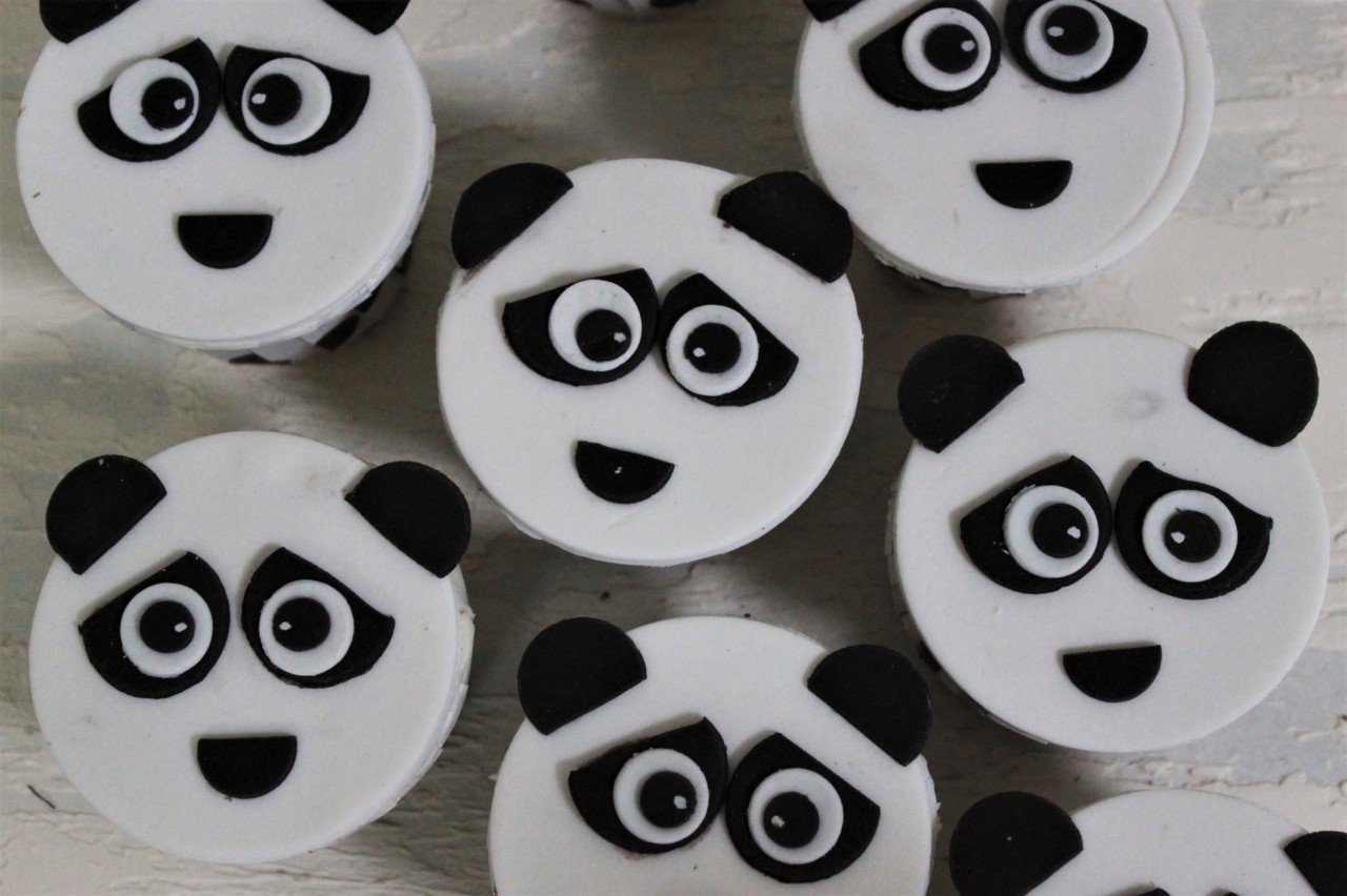 Kungfu Cupcake (10 Adet)