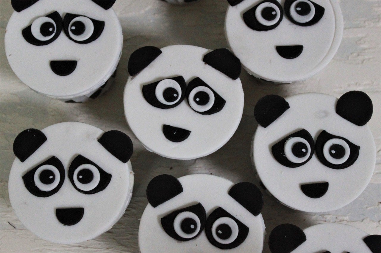 Kungfu Cupcake (10 Adet)