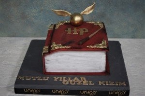 Harry Potter Kitabı