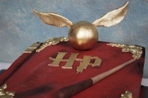 Harry Potter Kitabı